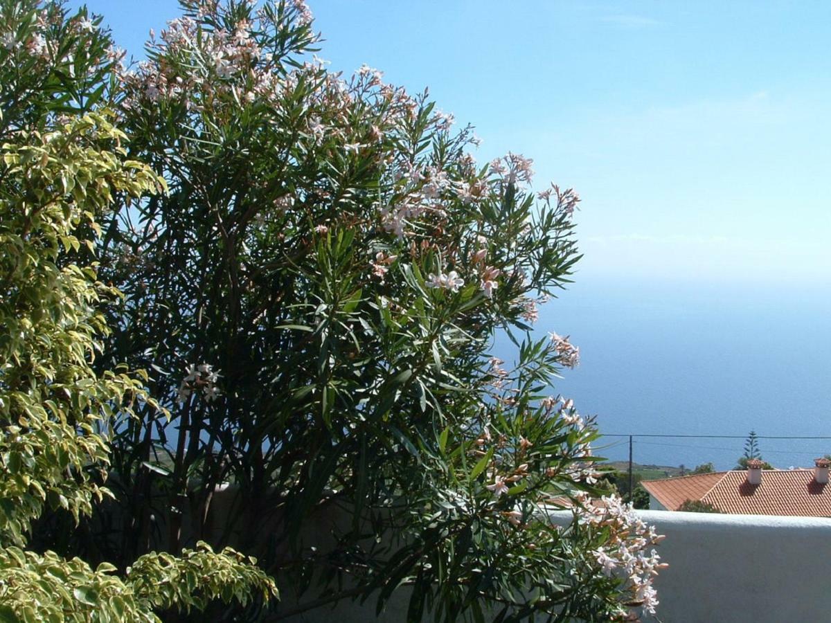 Casa Los Vinedos B Fuencaliente de la Palma Extérieur photo
